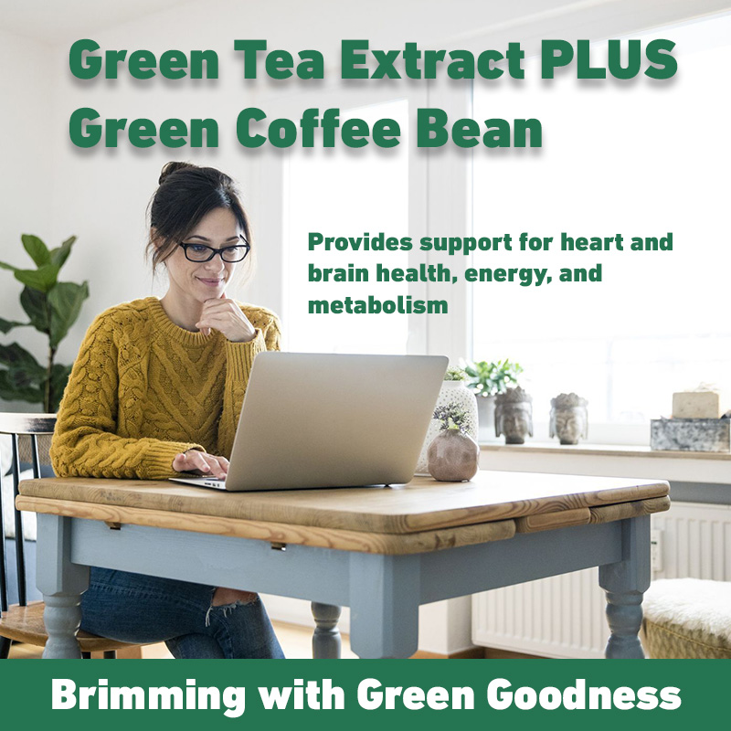 Green Tea Extract - Fast Fat B - Green Tea Extract Fat recension och pris
