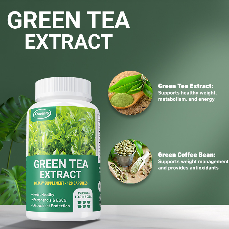 Green Tea Extract - Fast Fat B - Green Tea Extract Fat recension och pris