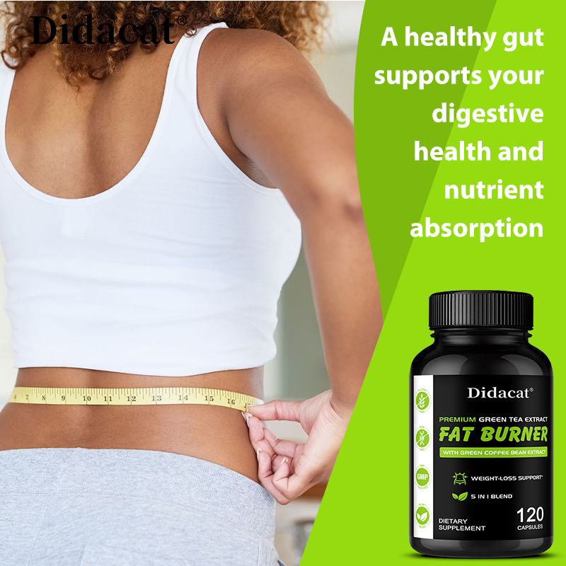 Garcinia Cambogia, Green Tea E - Green Tea Extract Fat recension och pris
